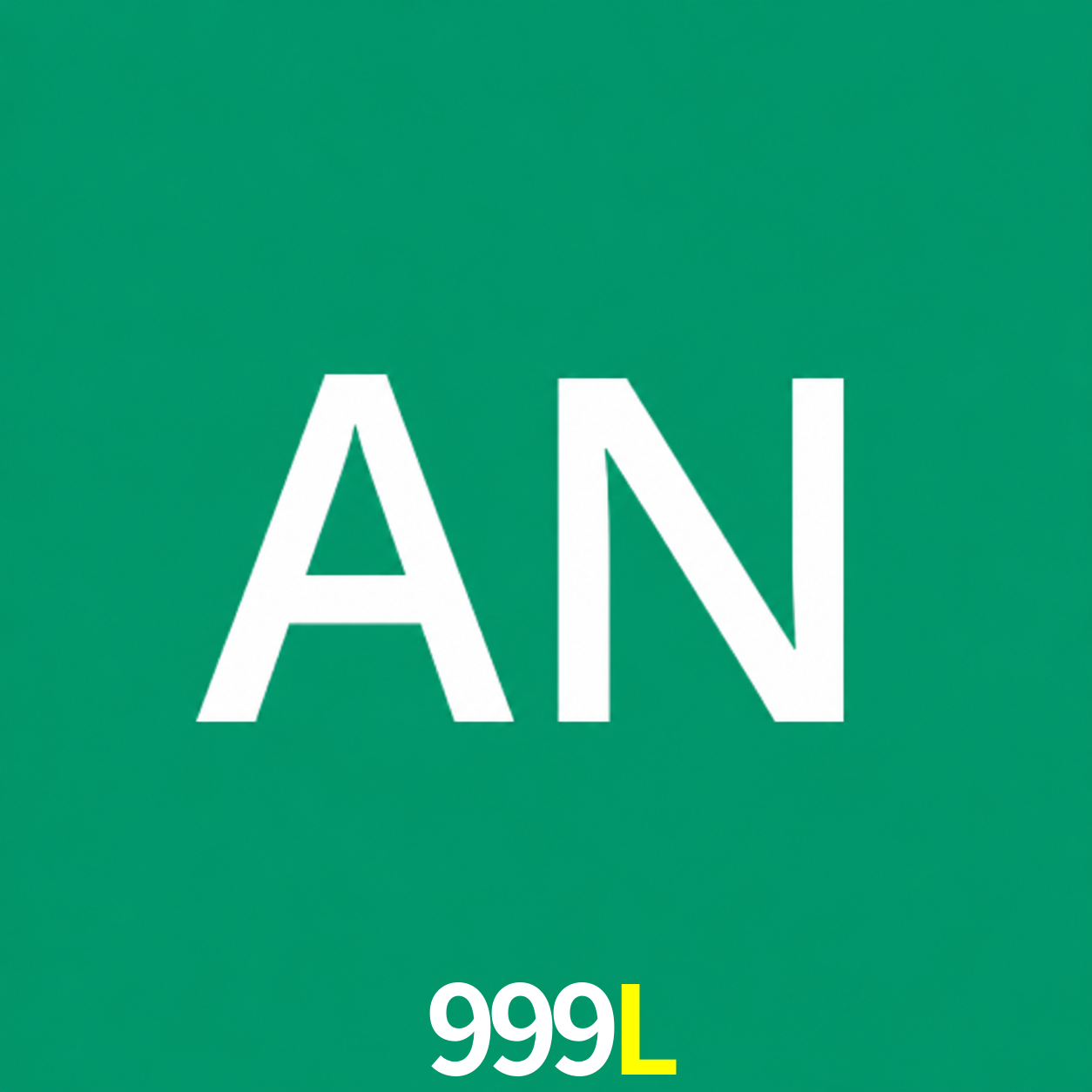 Adi Nugroho - Founder & CEO 999L Indonesia